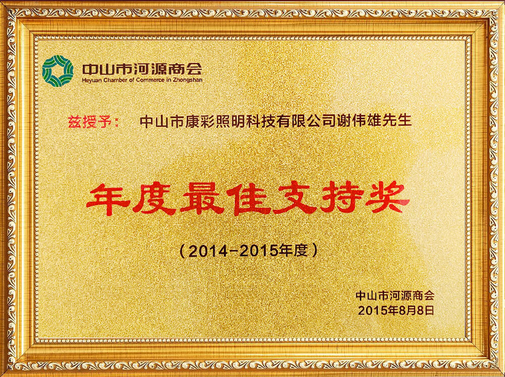 Support of the Year Award
