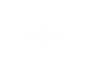 B01